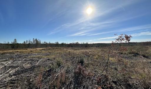 Photo #28 of SOLD property in Off The Trail, King and Queen, VA 148.0 acres