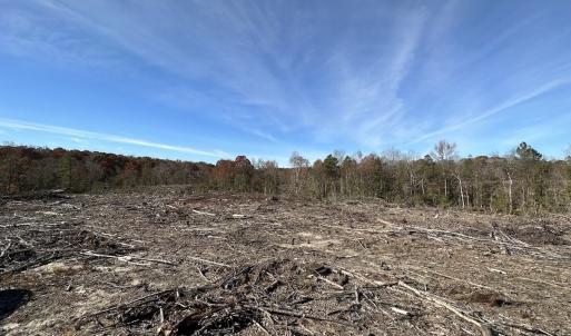 Photo #30 of SOLD property in Off The Trail, King and Queen, VA 148.0 acres