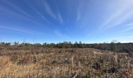 Photo #31 of SOLD property in Off The Trail, King and Queen, VA 148.0 acres