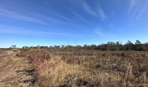 Photo #32 of SOLD property in Off The Trail, King and Queen, VA 148.0 acres