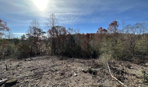 Photo #33 of SOLD property in Off The Trail, King and Queen, VA 148.0 acres