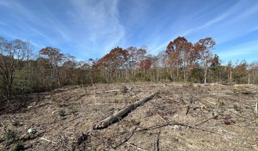 Photo #34 of SOLD property in Off The Trail, King and Queen, VA 148.0 acres