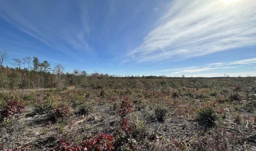Photo #36 of SOLD property in Off The Trail, King and Queen, VA 148.0 acres