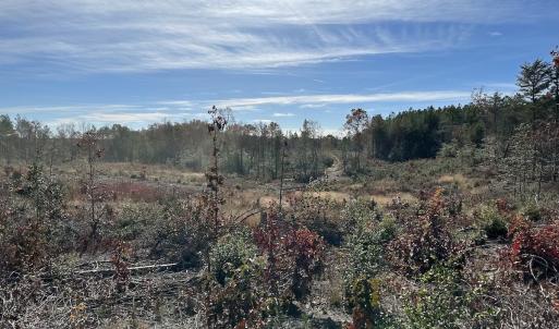 Photo #39 of SOLD property in Off The Trail, King and Queen, VA 148.0 acres
