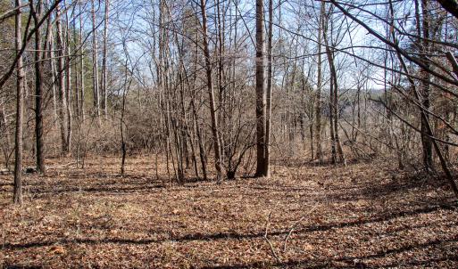 Photo #12 of Off A.L. Philpott Hwy, Martinsville, VA 44.4 acres