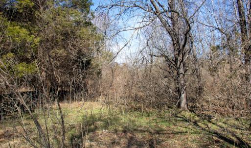 Photo #14 of Off A.L. Philpott Hwy, Martinsville, VA 44.4 acres