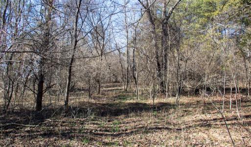 Photo #17 of Off A.L. Philpott Hwy, Martinsville, VA 44.4 acres