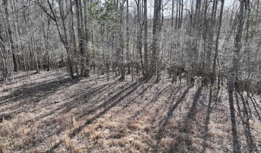 Photo #15 of SOLD property in 252 Hardison Rd, Chocowinity, NC 5.8 acres