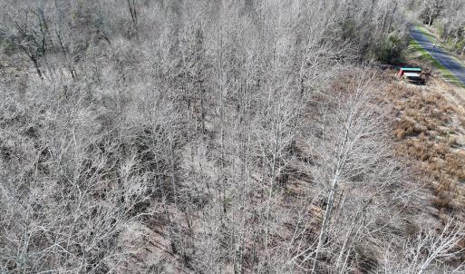 Photo #16 of SOLD property in 252 Hardison Rd, Chocowinity, NC 5.8 acres