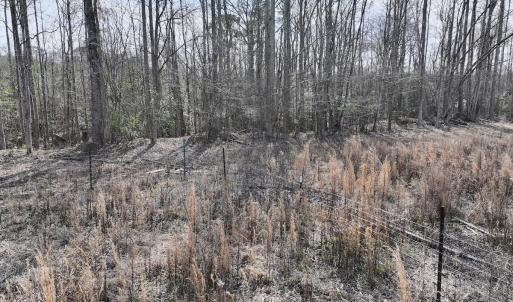 Photo #18 of SOLD property in 252 Hardison Rd, Chocowinity, NC 5.8 acres