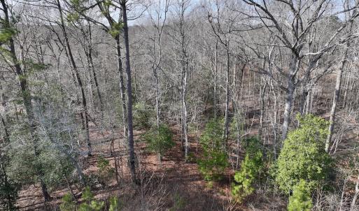 Photo #19 of SOLD property in 252 Hardison Rd, Chocowinity, NC 5.8 acres