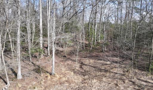Photo #8 of SOLD property in 252 Hardison Rd, Chocowinity, NC 5.8 acres