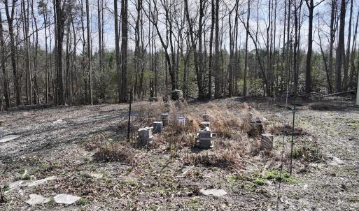 Photo #21 of SOLD property in 252 Hardison Rd, Chocowinity, NC 5.8 acres