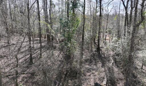 Photo #27 of SOLD property in 252 Hardison Rd, Chocowinity, NC 5.8 acres