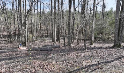 Photo #35 of SOLD property in 252 Hardison Rd, Chocowinity, NC 5.8 acres