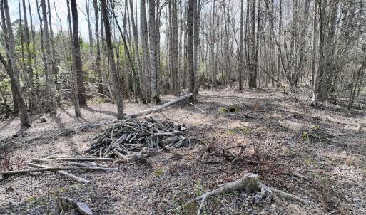 Photo #36 of SOLD property in 252 Hardison Rd, Chocowinity, NC 5.8 acres