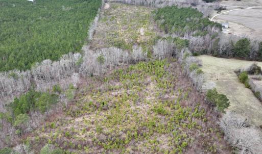 Photo #10 of SOLD property in Off Highway 48, Littleton, NC 9.9 acres