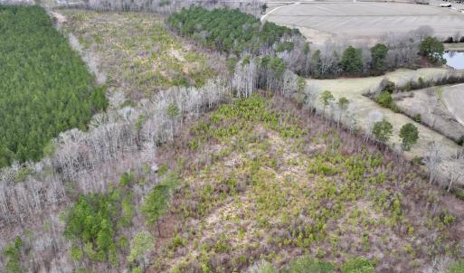Photo #11 of SOLD property in Off Highway 48, Littleton, NC 9.9 acres