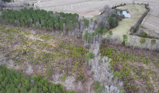 Photo #12 of SOLD property in Off Highway 48, Littleton, NC 9.9 acres