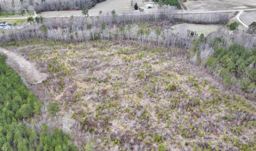 Photo #13 of SOLD property in Off Highway 48, Littleton, NC 9.9 acres