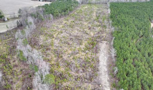 Photo #14 of SOLD property in Off Highway 48, Littleton, NC 9.9 acres
