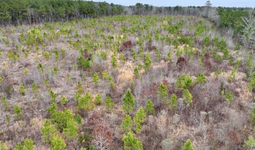 Photo #16 of SOLD property in Off Highway 48, Littleton, NC 9.9 acres