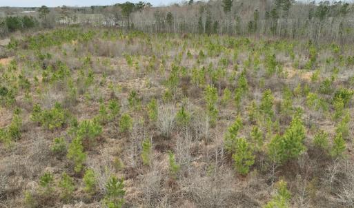Photo #18 of SOLD property in Off Highway 48, Littleton, NC 9.9 acres