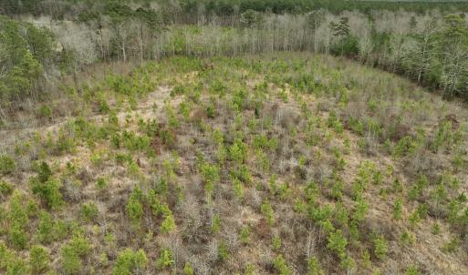 Photo #19 of SOLD property in Off Highway 48, Littleton, NC 9.9 acres