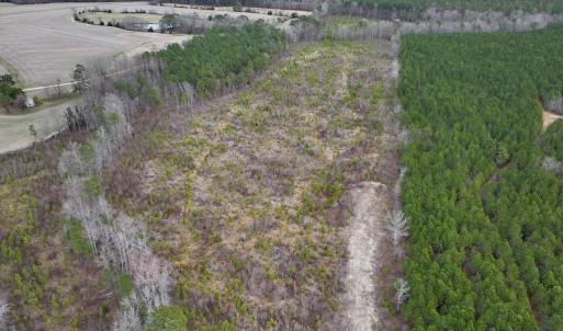 Photo #2 of SOLD property in Off Highway 48, Littleton, NC 9.9 acres