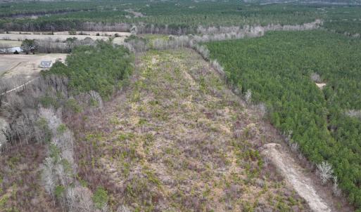 Photo #3 of SOLD property in Off Highway 48, Littleton, NC 9.9 acres