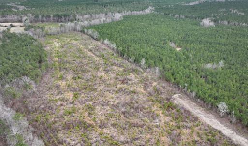 Photo #4 of SOLD property in Off Highway 48, Littleton, NC 9.9 acres