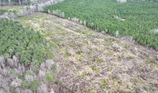 Photo #5 of SOLD property in Off Highway 48, Littleton, NC 9.9 acres