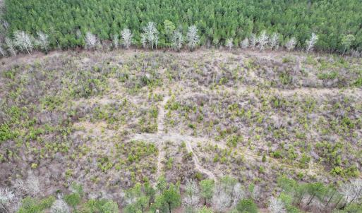 Photo #7 of SOLD property in Off Highway 48, Littleton, NC 9.9 acres
