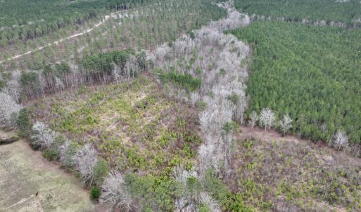 Photo #8 of SOLD property in Off Highway 48, Littleton, NC 9.9 acres