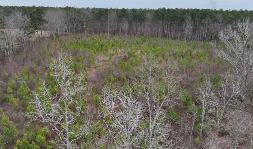 Photo #21 of SOLD property in Off Highway 48, Littleton, NC 9.9 acres