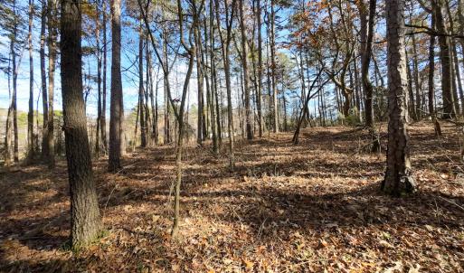 Photo #16 of Off Pageland Hwy, Monroe, NC 0.7 acres
