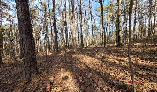 Photo #19 of SOLD property in Off Pageland Hwy, Monroe, NC 0.7 acres