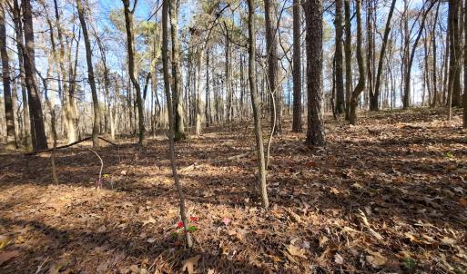Photo #20 of Off Pageland Hwy, Monroe, NC 0.7 acres