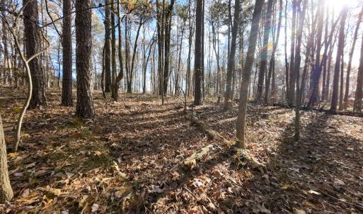 Photo #21 of SOLD property in Off Pageland Hwy, Monroe, NC 0.7 acres