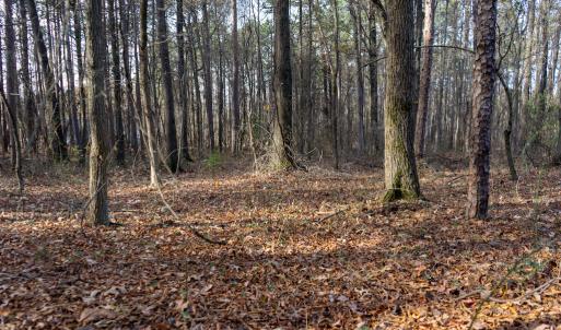 Photo #22 of SOLD property in Off Pageland Hwy, Monroe, NC 0.7 acres