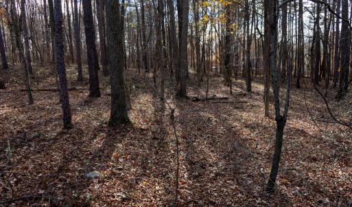 Photo #25 of Off Pageland Hwy, Monroe, NC 0.7 acres
