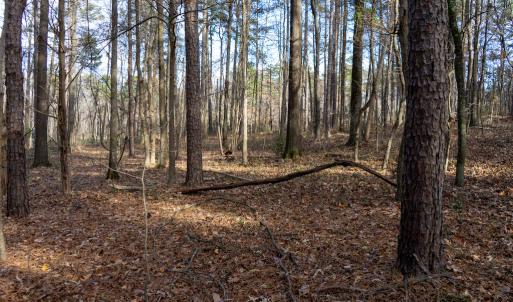 Photo #26 of SOLD property in Off Pageland Hwy, Monroe, NC 0.7 acres