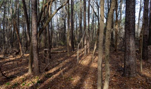 Photo #27 of Off Pageland Hwy, Monroe, NC 0.7 acres