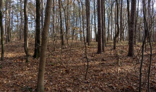 Photo #28 of Off Pageland Hwy, Monroe, NC 0.7 acres