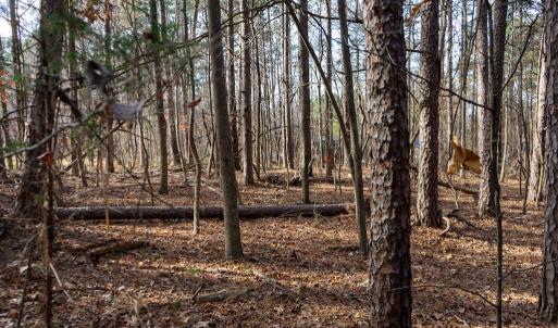 Photo #29 of SOLD property in Off Pageland Hwy, Monroe, NC 0.7 acres