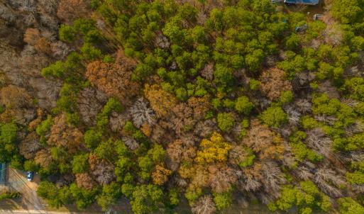 Photo #6 of SOLD property in Off Pageland Hwy, Monroe, NC 0.7 acres