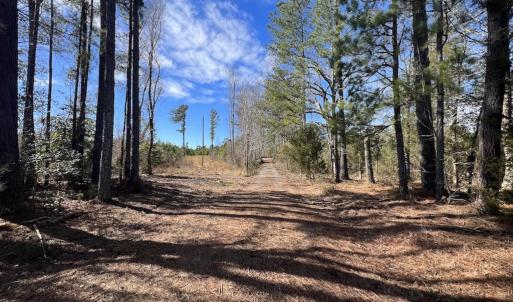 Photo #31 of SOLD property in 2391 Pine Grove Church Road, Eagle Springs, NC 10.1 acres