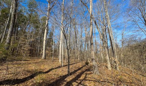 Photo #7 of SOLD property in Off Grier Church Road, Leasburg, NC 11.0 acres