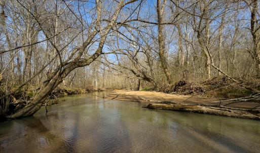 Photo #8 of SOLD property in Off Grier Church Road, Leasburg, NC 11.0 acres