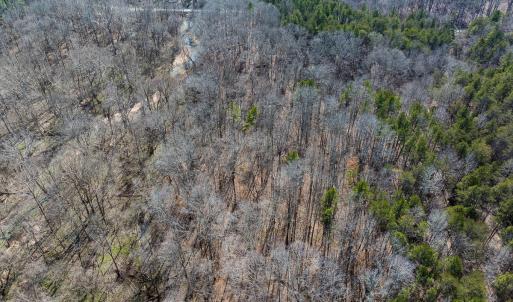 Photo #9 of SOLD property in Off Grier Church Road, Leasburg, NC 11.0 acres
